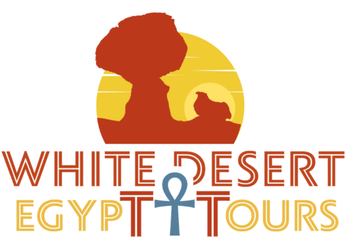 white desert tours logo