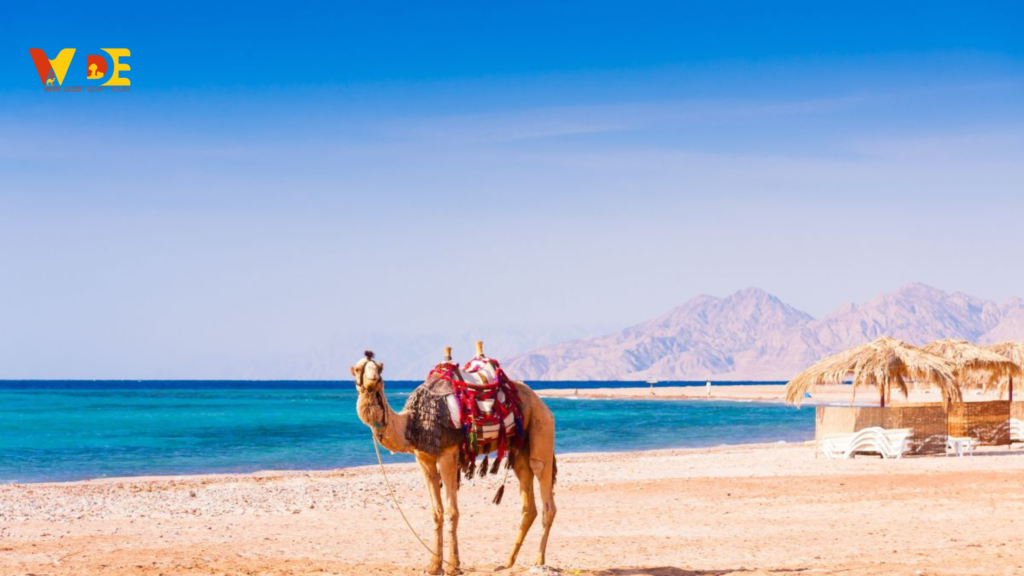 Best Time to Visit Hurghada