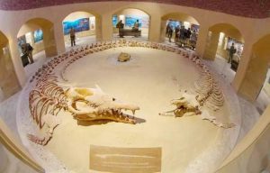 وادى حيتان واحات فيوم