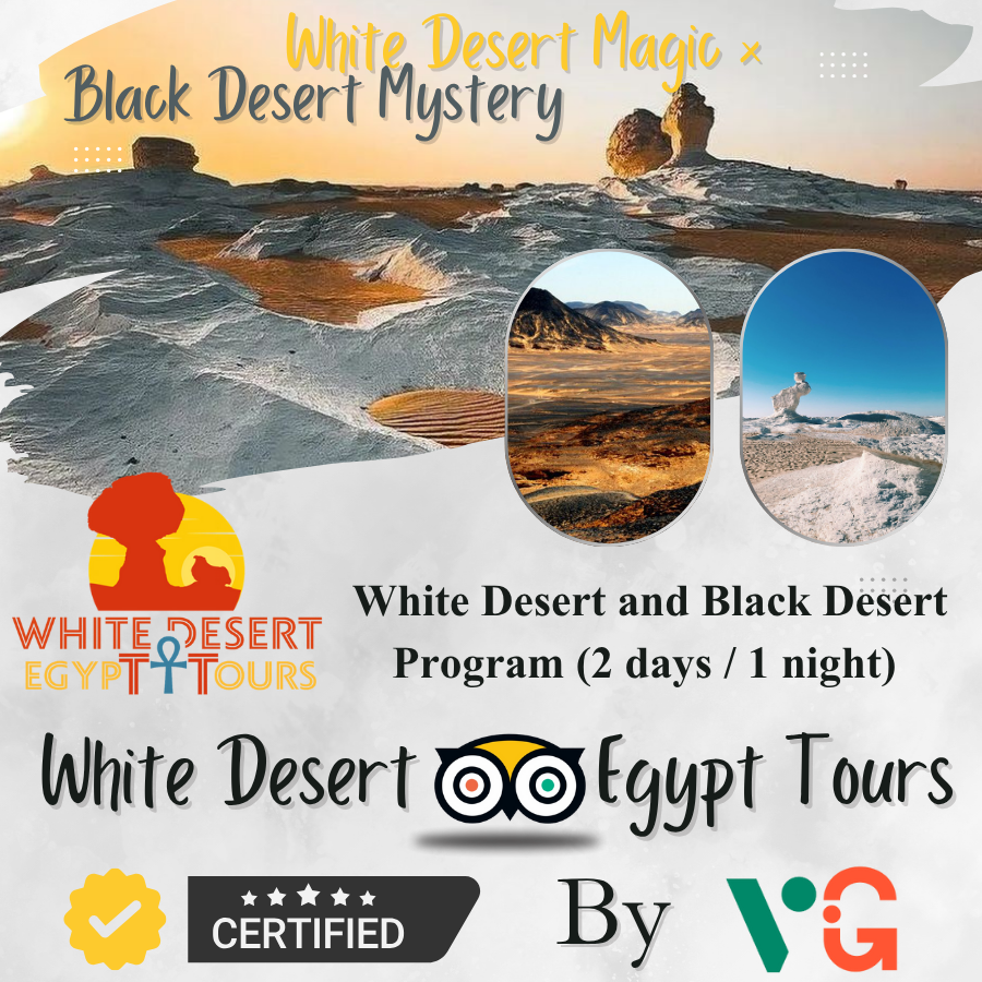 🏜️ White Desert and Black Desert Program (2 days / 1 night) Code Number Program (110)
