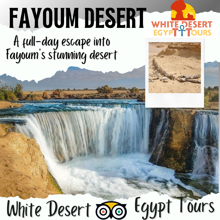 One-Day Adventure in Fayoum Desert – Code Number Program (202)