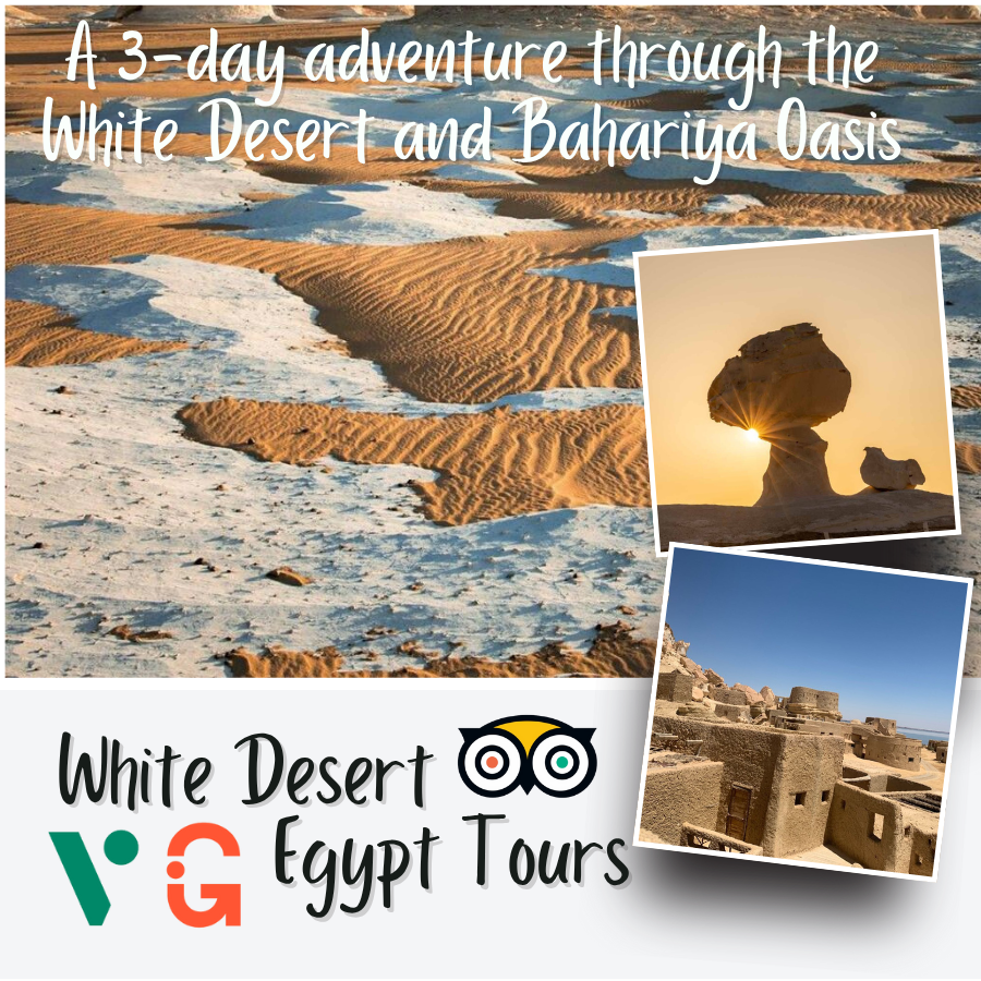 3-Day White Desert & Bahariya Oasis Adventure – Code Number Program (112)