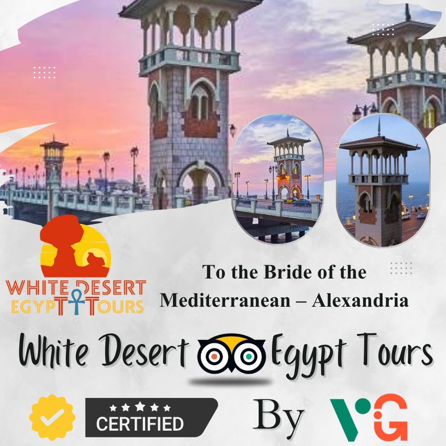 To the Bride of the Mediterranean – Alexandria – Code Number Program (206)