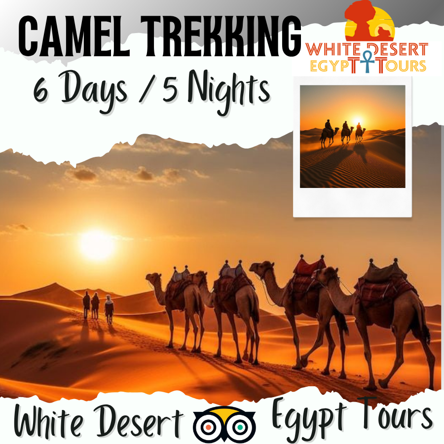 🏜️ 6 Days / 5 Nights Camel Trekking & Hiking in the White Desert – Code Number Program (114)