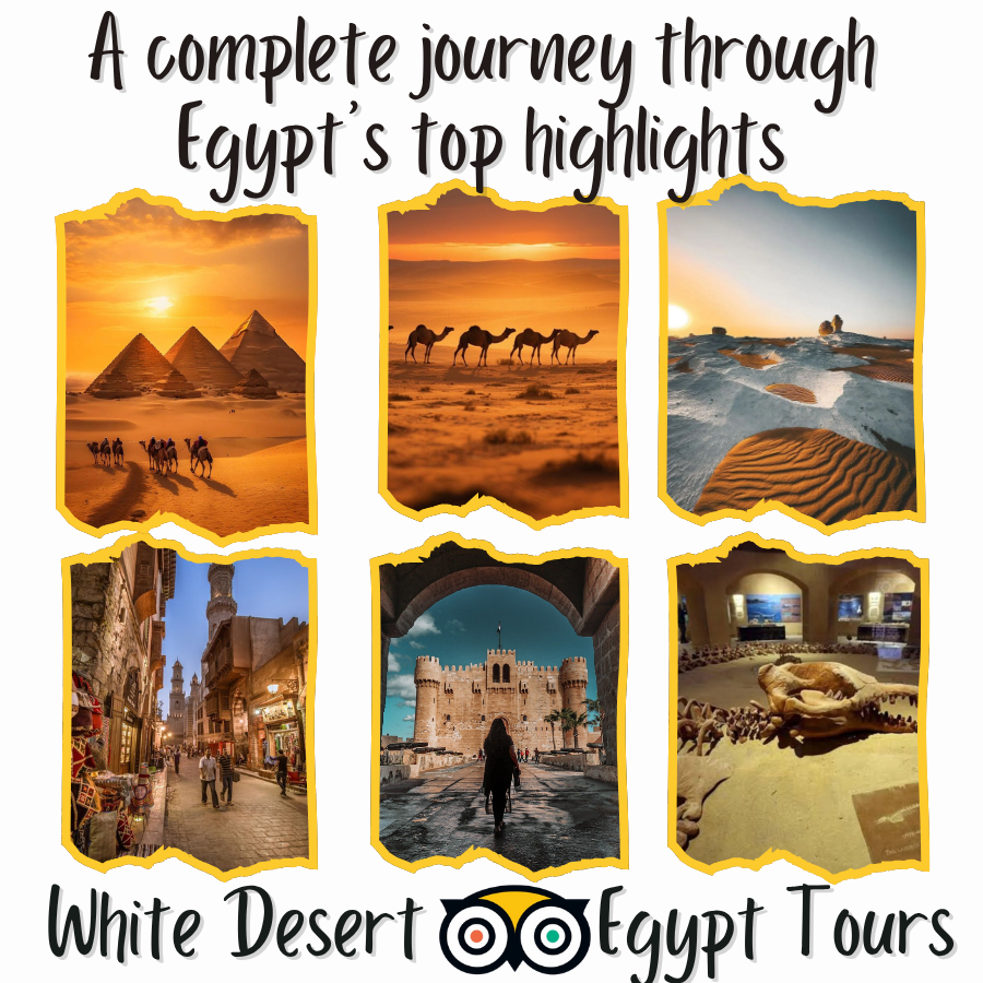 🏜️ 8-Day Egypt Tour Program – Code number program ( 101 )