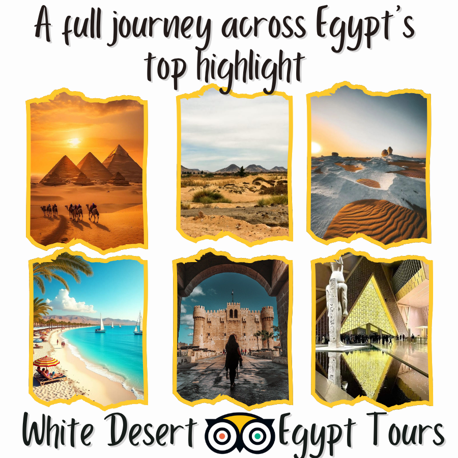 7-Day Egypt Tour – Code Number Program(104)
