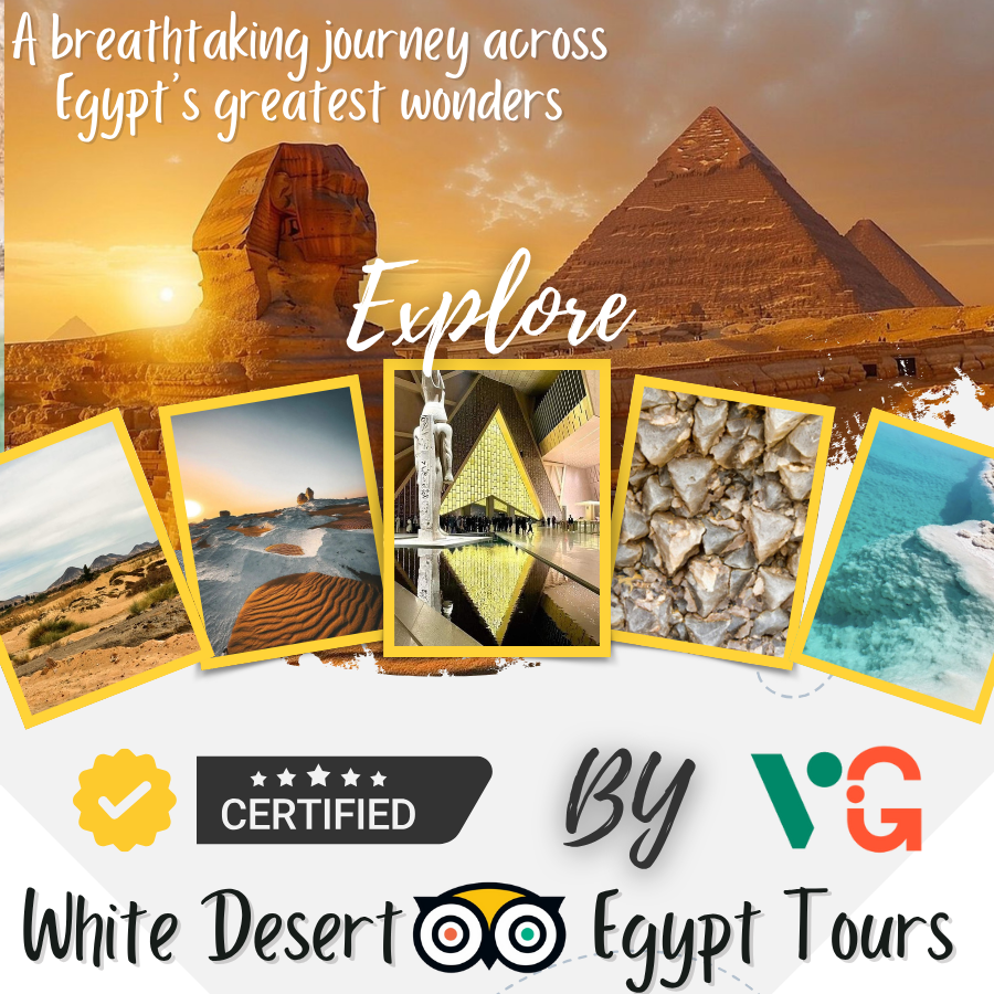 🏜️ 11-Day Tour Program – Code Number Program(119)