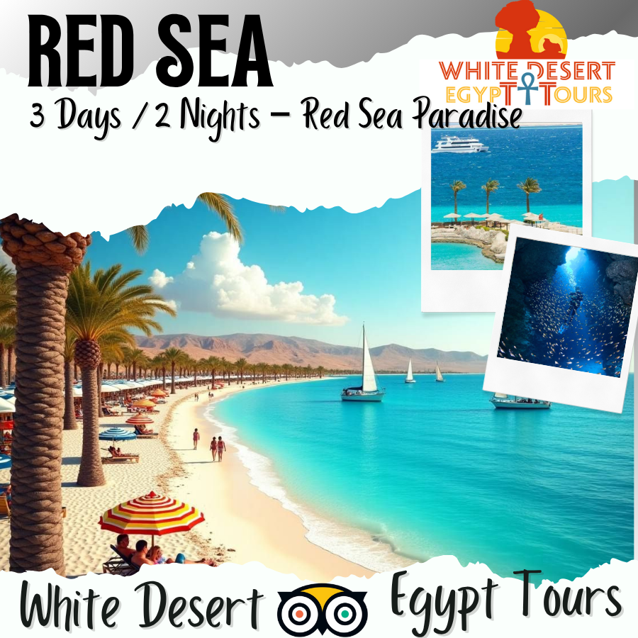 3 Days / 2 Nights – Red Sea Paradise – Code Number Program (201)