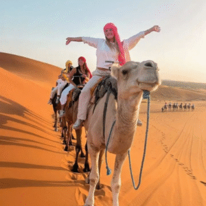 Camel Journey