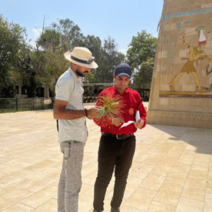 White Desert Camping (2)