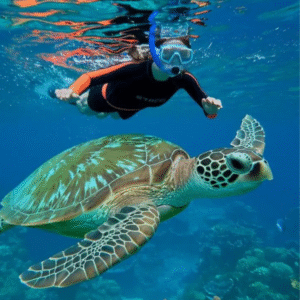 diving in the Red Sea (1)