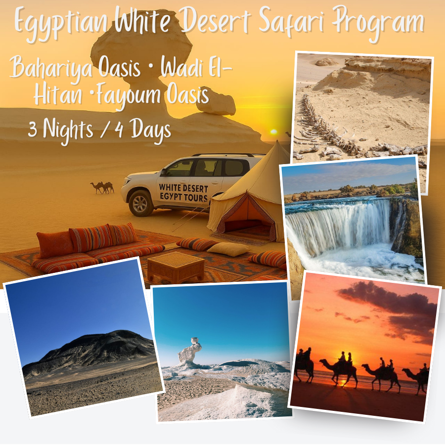 Egyptian White Desert Safari, Bahariya Oasis, Wadi El-Hitan, and Fayoum Oasis Program 🏜️ – 3 Nights / 4 Days – Code Number Program (115)