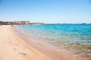 xr:d:DAFZOSlfdWg:49,j:47594115532,t:23022414