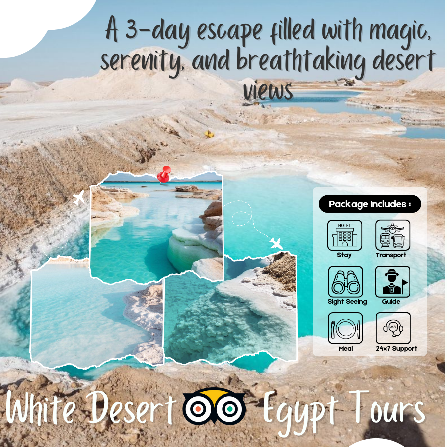 Siwa Oasis Journey: 3 Days of History, Nature & Desert Adventure – Code Number Program (200)