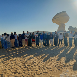 White desert egypt tours # (2)