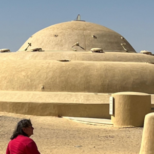 Wadi EL Hitan, White Deseort Egypt Tours