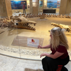 Wadi EL Hitan, White Deseort Egypt Tours