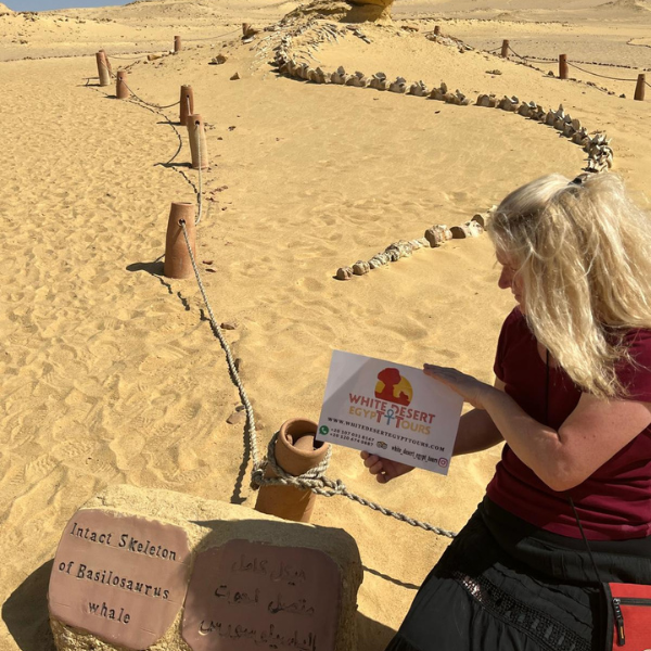 Wadi EL Hitan, White Deseort Egypt Tours