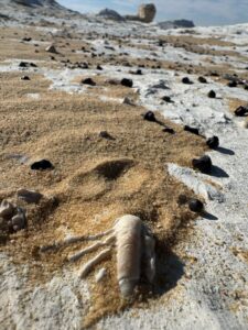 White desert, White Desert Egypt Tours