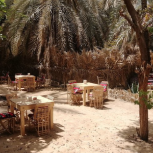 Downtime Sahara, White Desert Egypt Tours