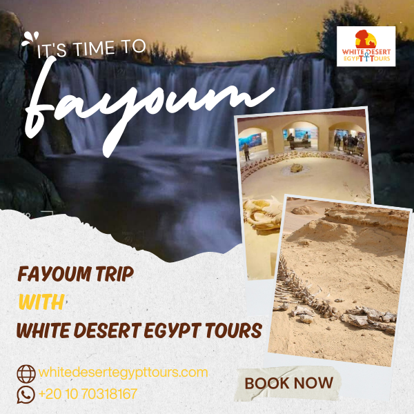 Fayoum Tours, White Desert Egypt Tours