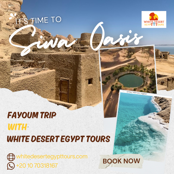 Siwa Oasis Tours, White Desert Egypt Tours