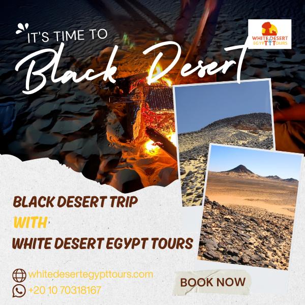 Black Dese rt Tours