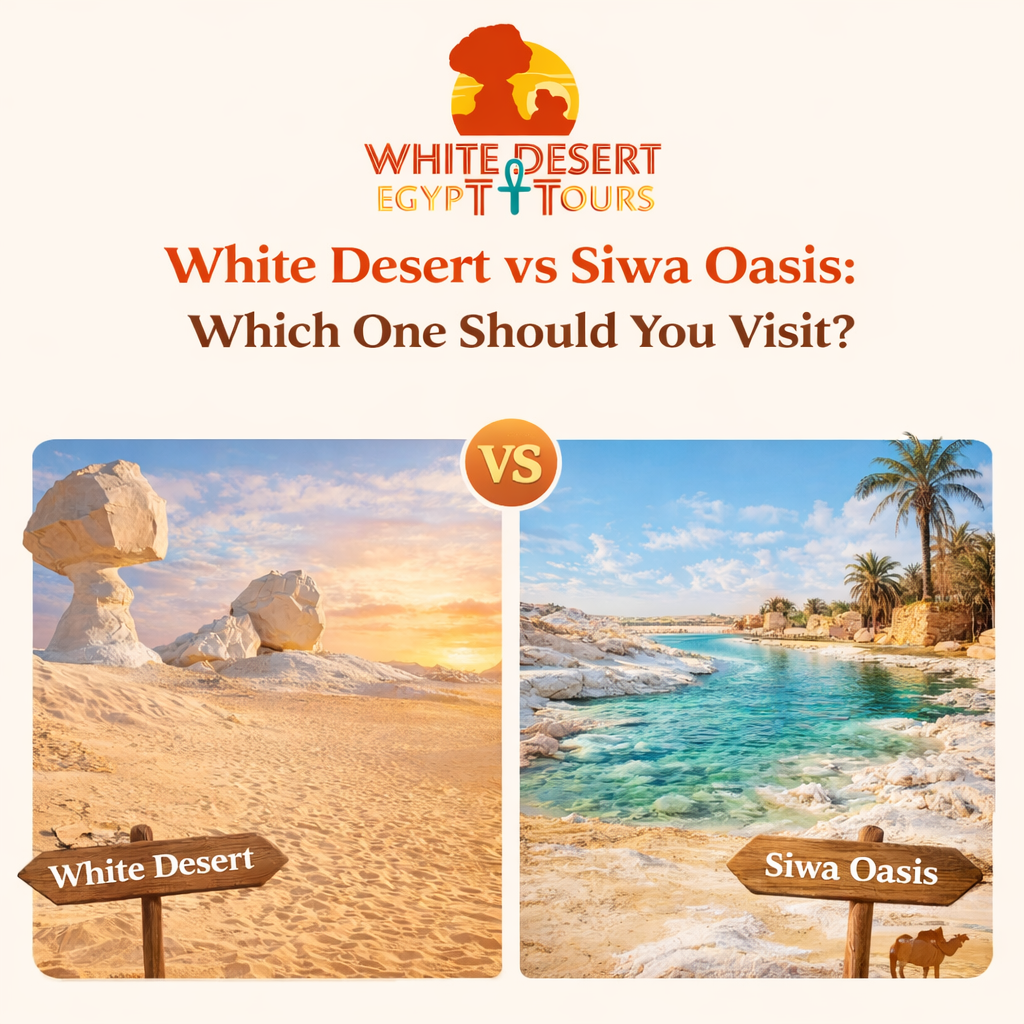 white desert vs siwa oasis, White desert egypt tours