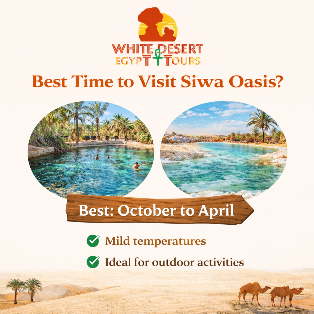 Best Time to Visit Siwa Oasis, White Desert Egypt Tours
