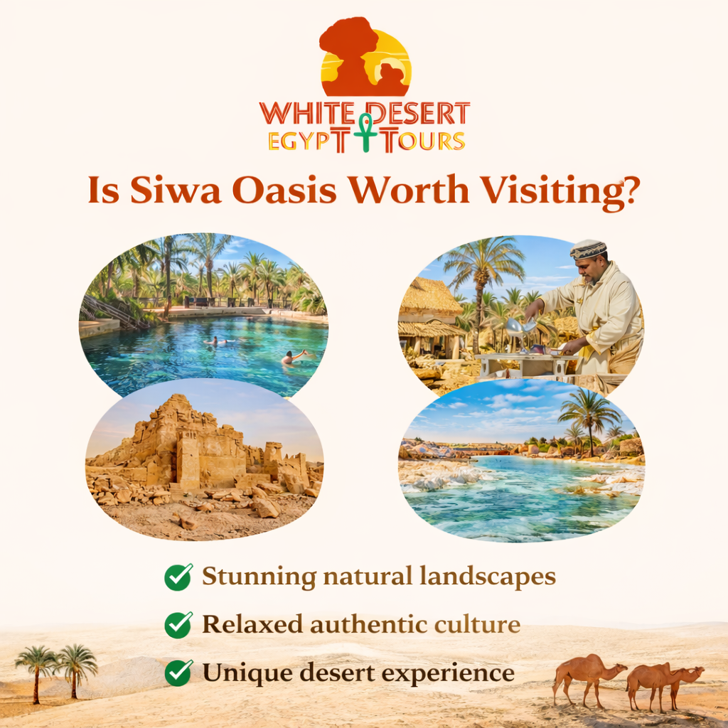 Is Siwa Oasis Worth Visiting, White Desert Egypt Tours