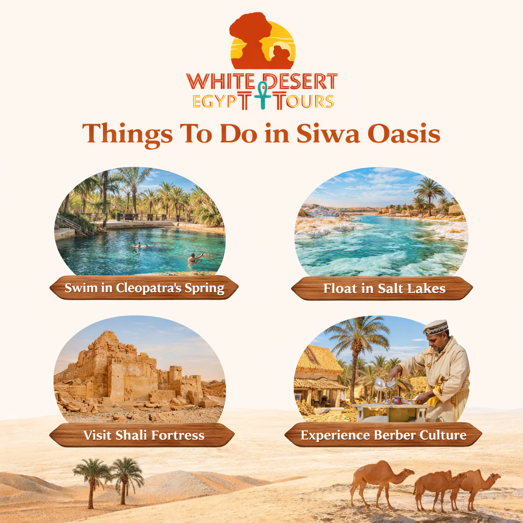 Things To Do in Siwa Oasis, White Desert Egypt Tours