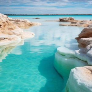 Salt Lake 10