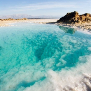 Salt Lake 5