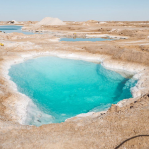 Salt Lake 9