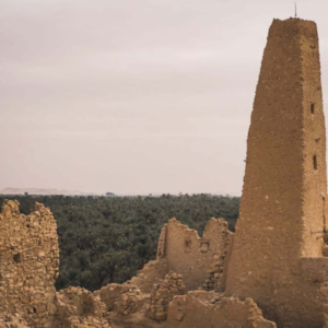 Shali Fortress 1