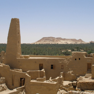 Shali Fortress 9